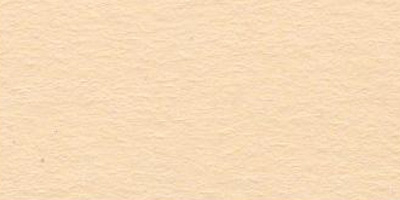 Бумага цветная "VISTA-ARTISTA" TKO-A2 300 г/м2 А2 42.5 х 60 см 1 шт. 08 бежевый (beige)
