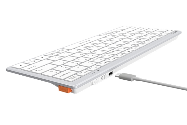 Клавиатура USB A4Tech Fstyler FBX51C, White