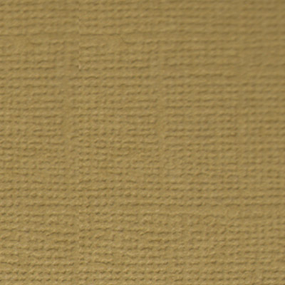 Бумага для скрапбукинга "Mr.Painter" PST 216 г/кв.м 30.5 x 30.5 см 10 шт. 20 Грецкий орех (св.коричневый)