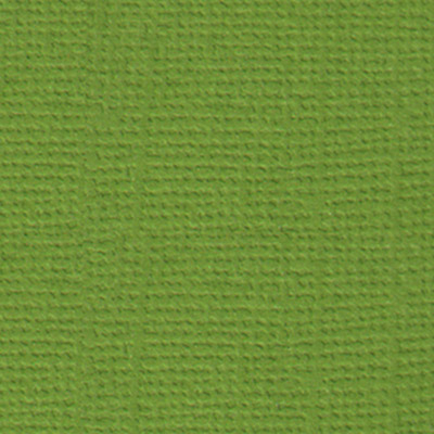 Бумага для скрапбукинга "Mr.Painter" PST 216 г/кв.м 30.5 x 30.5 см 10 шт. 25 Оливковый венок (зелёный)