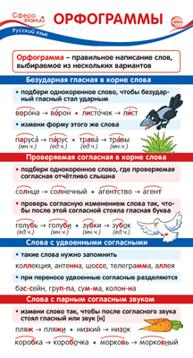 Обучающая карточка Орфограммы ШМ-14907сф
