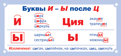Обучающая карточка Буквы И - Ы после Ц  ШМ-15607сф