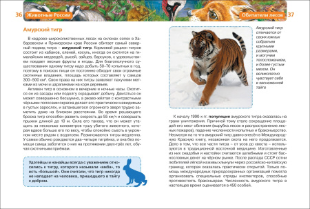 Детская энциклопедия "Животные России" Росмэн 15105