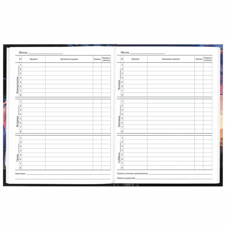 Дневник 1-11кл. BRAUBERG "Anime girl" (106844)