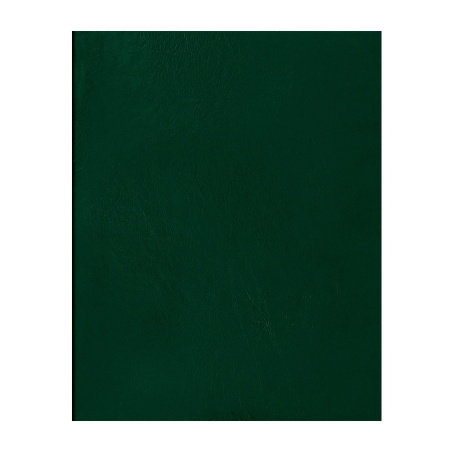 Тетрадь А4 96л. кл. бумвинил BG зеленый, эконом (Т4бв96кЭ_12343)