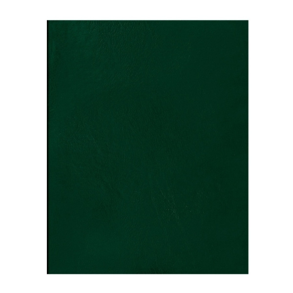 Тетрадь А4 96л. кл. бумвинил BG зеленый, эконом (Т4бв96кЭ_12343)