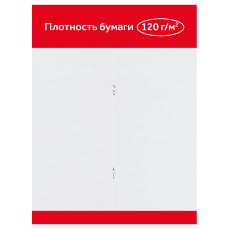 Альбом для рисования 32л. "Мультики" Гамма (19122022_32)
