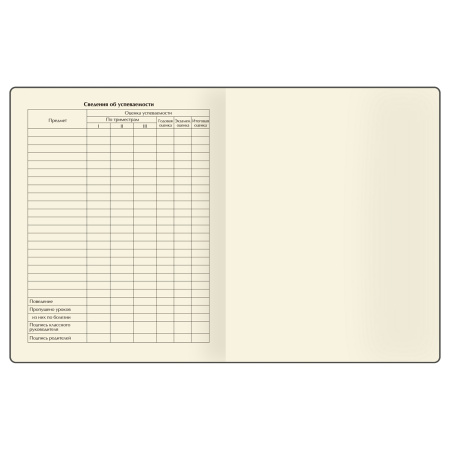 Дневник 1-11кл. "Всегда на позитиве" BG (D5s48_58624)