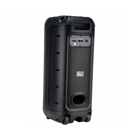 Портативная колонка ELTRONIC 30-30 DANCE BOX 1200 динамик 10" 2шт. 120Вт, Bluetooth, TWS, FM, USB,  mic