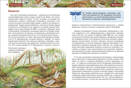 Детская энциклопедия "Насекомые" Росмэн 13450