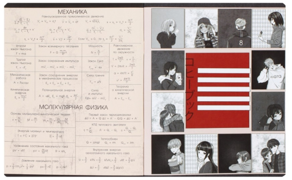 Тетрадь предметная 48л. кл. "Аниме-Физика" ПЗБФ (026394)