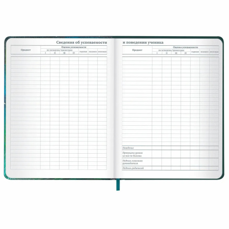 Дневник 1-11кл. BRAUBERG "Мечты" (106949)