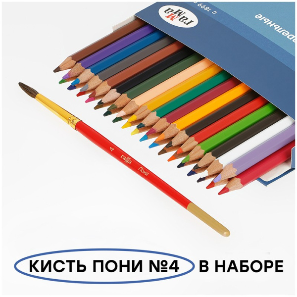 Карандаши акварельные 36цв. Гамма "Лицей" с кистью 221118_05