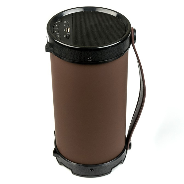 Портативная колонка Dialog AP-1000 Bluetooth, 16Вт вход FM+USB, Черный