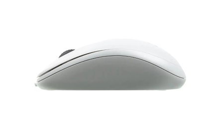 Мышь USB Logitech B100 (910-003360) оптическая, 800dpi, кабель 1.8м, White
