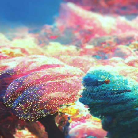 Записная книжка А6 64л. "Сказочное место" Эксмо КЗБ6644089