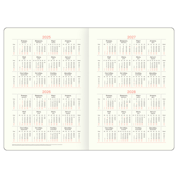 Ежедневник BG А5 136л. недатир. "Reptile. Steel" DuA5_60784