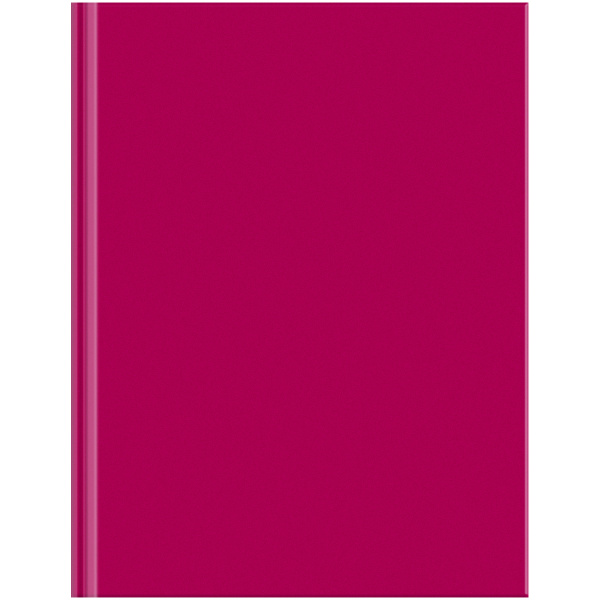 Бизнес-блокнот BG А5 80л. "Для конференций" бордо ББ5т80_лг 33941