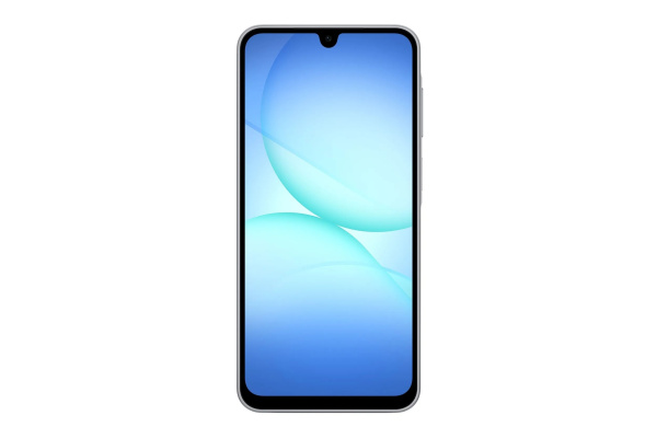 Смартфон Samsung Galaxy A17 8Гб 256Гб SM-A175 Gray 6.7", Super AMOLED, 2340*1080, 2*2.2+6*2.0ГГц, 50+5+2Мп, 13Мп, 4G, NFC, 5000мАч, And 15