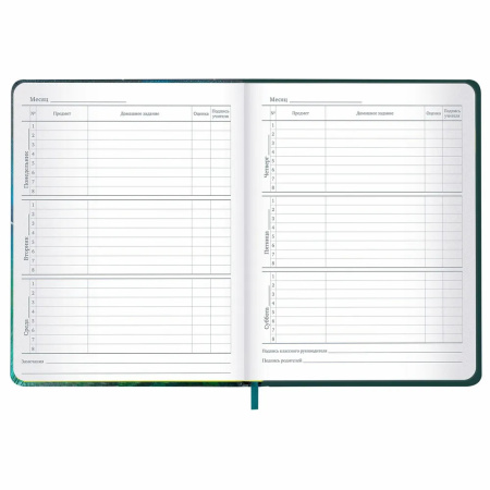 Дневник 1-11кл. BRAUBERG "Мечты" (106949)