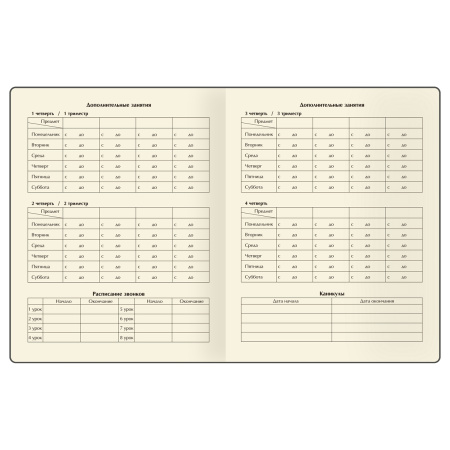 Дневник 1-11кл. BG "Таинственная девочка" D5h48_58571