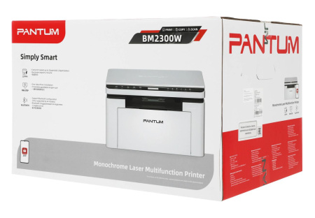 МФУ Лазерный Монохромный A4 Pantum BM2300W 22 стр/м USB, WiFi белый