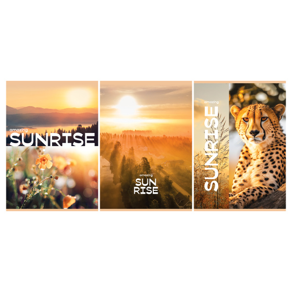 Тетрадь А4 48л. кл. "Рассвет" BG Т4ск48 59461