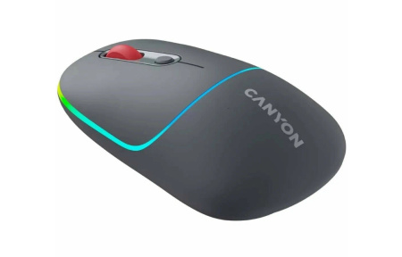 Мышь беспроводная Canyon MW-22 оптическая, 1600dpi, Bluetooth/Радиоканал Dark Grey (CNS-CMSW22DG)
