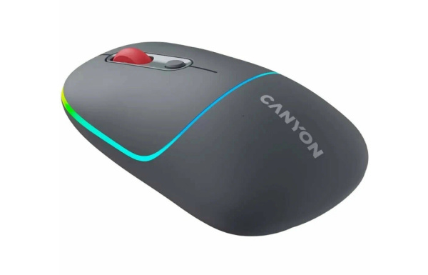 Мышь беспроводная Canyon MW-22 оптическая, 1600dpi, Bluetooth/Радиоканал Dark Grey (CNS-CMSW22DG)