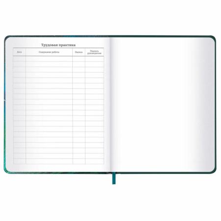 Дневник 1-11кл. BRAUBERG "Мечты" (106949)