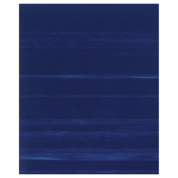 Тетрадь 48л. кл. бумвинил BG, синяя (Т5бв48кЭ_12318)