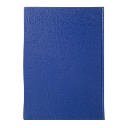 Книга учета Выбор есть 192л. клетка, бумвинил (1941795)