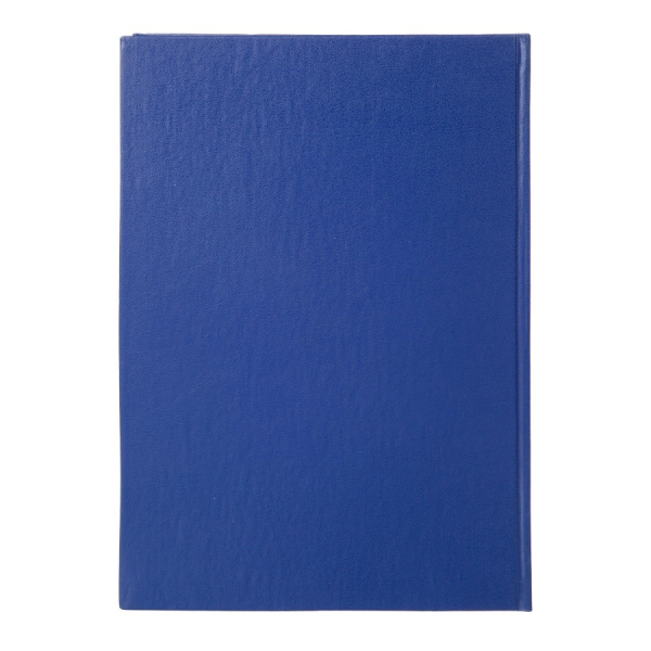 Книга учета Выбор есть 192л. клетка, бумвинил (1941795)