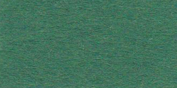 Бумага цветная "VISTA-ARTISTA" TKO-A3 300 г/м2 А3 29.7 х 42 см 1 шт. 58 темно-зеленый (fir green)