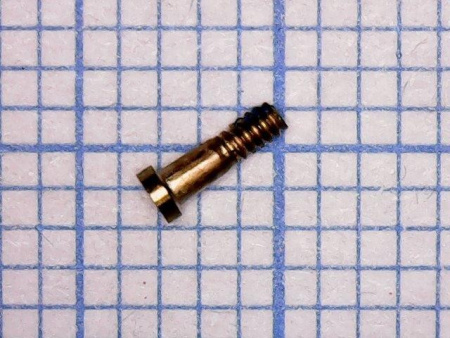 Винт iPhone 6S внешний золото