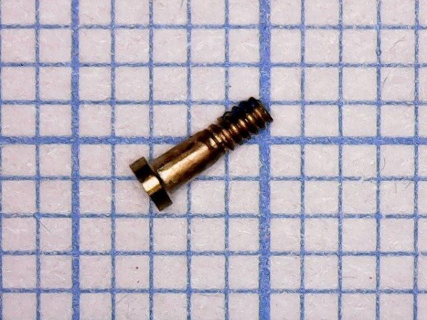 Винт iPhone 6S внешний золото