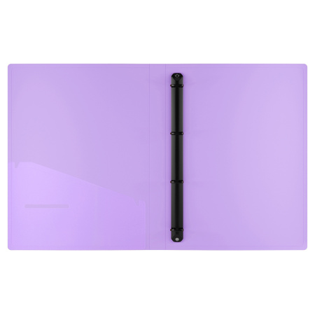 Папка 4 кольца BERLINGO "Haze", 24мм, 600мкм, мятная (RB4_4D922)