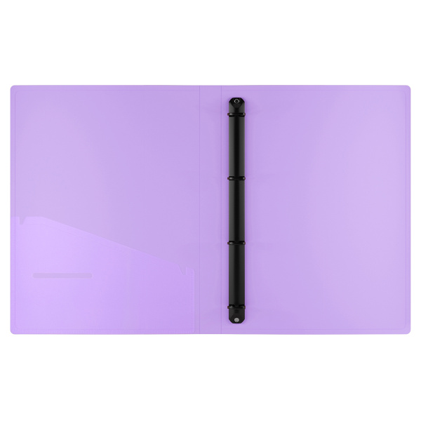 Папка 4 кольца BERLINGO "Haze", 24мм, 600мкм, мятная (RB4_4D922)