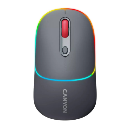 Мышь беспроводная Canyon MW-22 оптическая, 1600dpi, Bluetooth/Радиоканал Dark Grey (CNS-CMSW22DG)