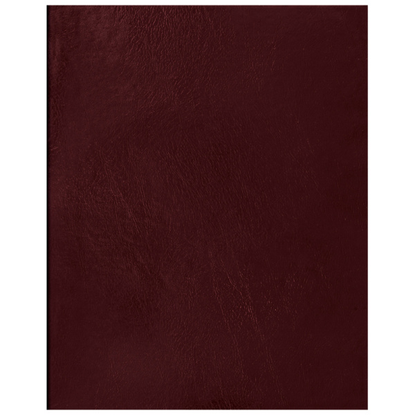 Тетрадь А4 96л. кл. бумвинил BG бордовый, эконом (Т4бв96кЭ_12344)