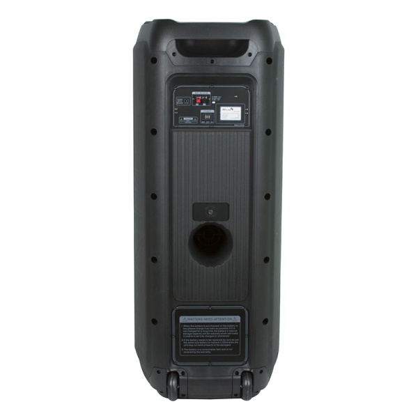Портативная колонка ELTRONIC 20-62 FIRE BOX 1000 динамик 10" 2шт. 80Вт, Bluetooth, TWS, FM, USB,  mi