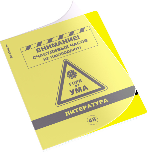 Тетрадь предметная 48л. "Be Informed, Литература" ErichKrause 59481