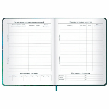 Дневник 1-11кл. BRAUBERG "Мечты" (106949)