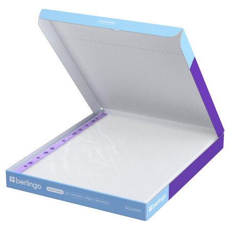 Файл перфорированный А4 60мкм. BERLINGO "Squares" 100 шт., матовый, картон. упаковка (SPb_A4060)