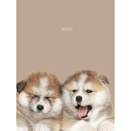 Записная книжка А6 48л. "Puppies" Канц-Эксмо КЗ6483723