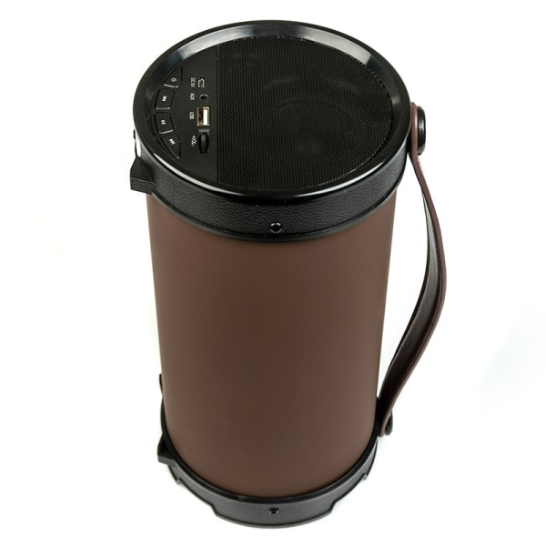 Портативная колонка Dialog AP-1000 Bluetooth, 16Вт вход FM+USB, Черный