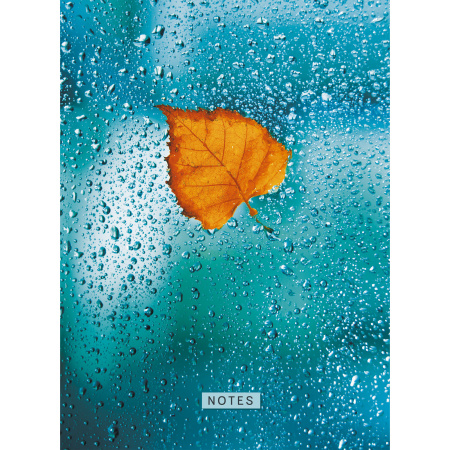 Записная книжка А4 160л. "Осенний лист" Канц-Эксмо КЗ41603716