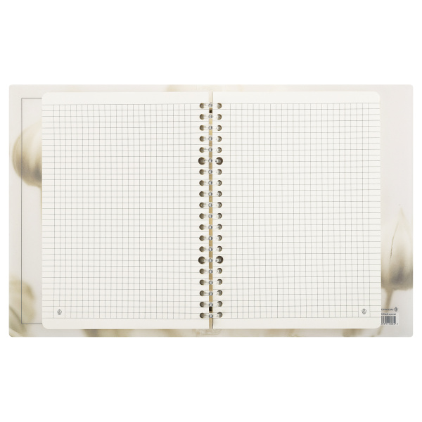 Тетрадь на кольцах 80л. "View" пласт. обложка Greenwich Line (Nrp80A5_38619)