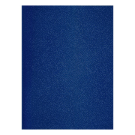 Тетрадь А4 48л. кл. бумвинил BG, синий (Т4бв48к_12321)