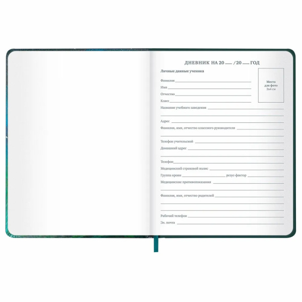 Дневник 1-11кл. BRAUBERG "Мечты" (106949)